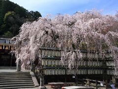 13：00　大石神社

大石内蔵助をお祀りした神社。
御神木の樹齢80年越えの「大石桜」が見頃入り。


拝観料　無料
駐車場　無料
※手前は月極で参拝者用は鳥居をくぐって一番奥の右手。