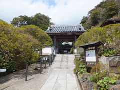 岩殿寺を出たのが１１時過ぎ、午前中に３番まで打ってしまおうとまたもや渋滞にはまりつつ再び鎌倉市に入り（岩殿寺の所在地は逗子市）安養院に１１時半着。こちらのお寺も我々以外参拝客がいない。道は混んでいるし観光バスもガンガン入って来ているのに一体皆どこにいるのだろう。鶴岡八幡宮とか大仏、建長寺だとかの有名社寺に集中しているのであろうか？もっともいわゆる観光寺社と呼ばれている定番以外になるとバスどころか乗用車を停めるのもままならないケースが大半なので駅から離れている寺院は何かしらの目的を持った人でないと訪れないのであろう。そういう意味では杉本寺に坂東の御朱印帳を持った人があれだけいたのだから坂東３番の当寺にもっと人がいてもよさそうな気がするが。