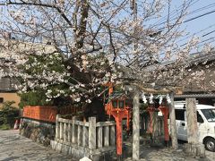 辰巳大明神の桜もいいですね。