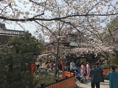 如何にも祇園なポイントでしかも桜も咲いてて写真撮影してる人多過ぎ(^^;)