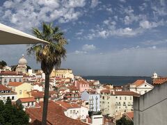 頑張って登ってきたご褒美に絶景が待っておりました。