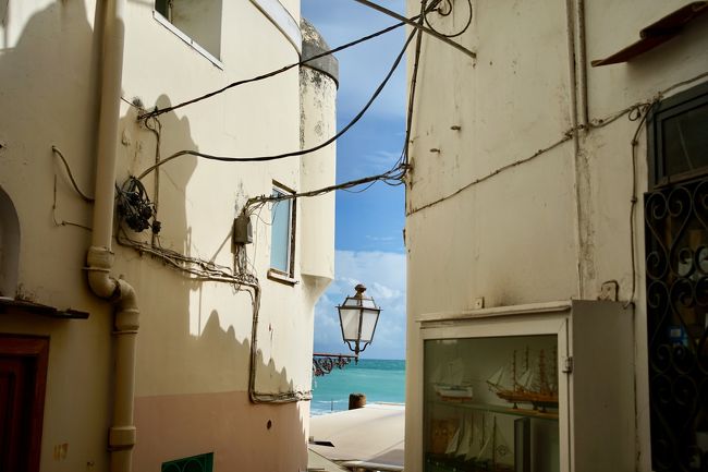 お！ 青空が戻ってきた。