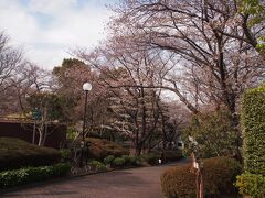 14：15　根岸森林公園にやって来ました。
小学生の頃はよくピクニックに来たり、ワタシにとってはなつかしい場所です。

昔々、ここには「根岸競馬場」がありました。
日本初の洋式競馬場です。
幕末、横浜の外国人居留地における娯楽施設として建設されたんだって。
