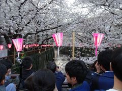 中目黒の桜は何度も来ていますが、過去一混んでいた気がします。
写真を撮るのも一苦労。