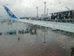 成田空港からヤンゴン行きの直行便(NH0814)を利用しました。あいにくの雨でした。