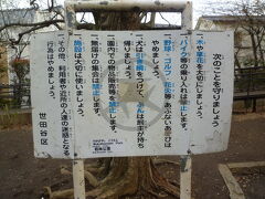 烏山川緑道を歩いていると、左手に綺麗に咲いている桜につられて行ってみると若林公園でした。烏山川緑道側から若林公園に入るの初めてでした。
所在地：東京都世田谷区若林4丁目34番2号
アクセス：世田谷線松陰神社前駅下車徒歩5分