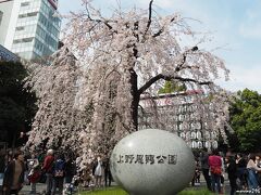 上野公園　入口の枝垂れ桜　14時過ぎ

メトロ銀座線で浅草から上野へ移動しましたが、流石に上野は凄い人です。