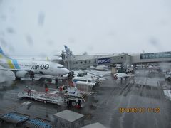 11：10　新千歳空港に着陸

　　　　　雪降ってるよー。