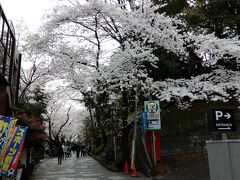 地下鉄王子駅から出ると知らない風景・・・。
でも桜が満開！！

右は王子神社