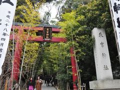 來宮神社に初詣
こじんまりとしているが、大きな木が茂り神聖な雰囲気がある。
撮影スポットにはスマホ台も置いてある。