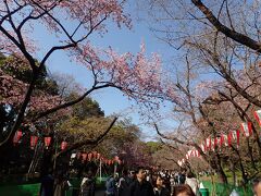 まだまだこれから