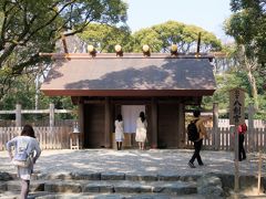 ここに訪れる一日前は、いつもの近所桜散歩をするもまだ５分咲でした（神奈川は東京よりも咲くのが少し遅い）。
