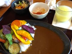 午後は竹富島観光。
これもツアーの中に含まれていますが、完全に自由行動で帰りの船の時間も自由に決められます。
まずはランチ。
いくつかのメニューの中から選びます。
わたしは島野菜のカレーライスを注文。
辛いのが苦手なわたしでも大丈夫な辛さで、野菜も美味しかったです。
シークワーサージュースとすごく合う！