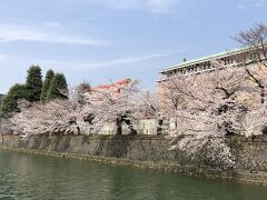 岡崎疎水
手前の建物は、京都市美術館
平安神宮の鳥居が見えます。