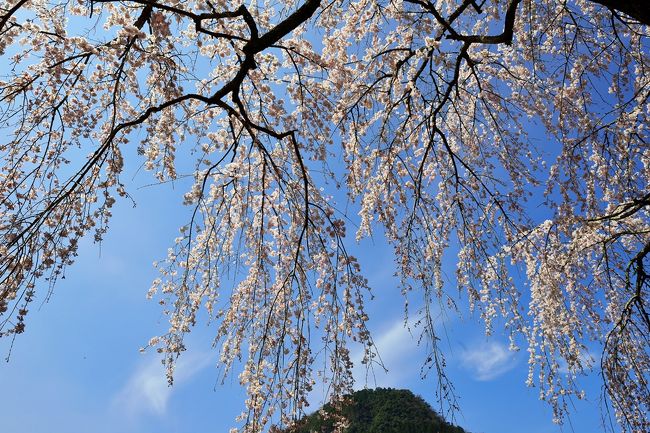 西には耶馬渓の山