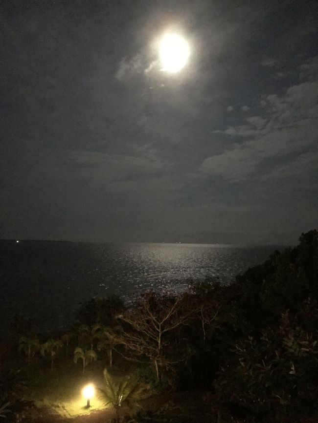 夜になって月が出ていたので明日は晴れるかな？<br /><br />海が月に照らされてキラキラしています。<br />手前はガーデンの照明です。
