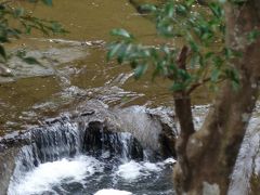 次に向かったのはインスタグラムで有名になった濃溝の滝がある清水渓流公園

しかしこれが濃溝の滝であり、有名になったのは、本当は亀岩の洞窟というらしい

遠目からちゃちゃっと鑑賞