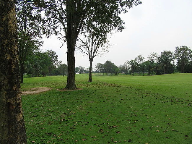 前半は、パター入らずで、悪かったが、後半はまずまず。<br />でもパーオンしての、バーディーはずしの３パットは、残念。43。