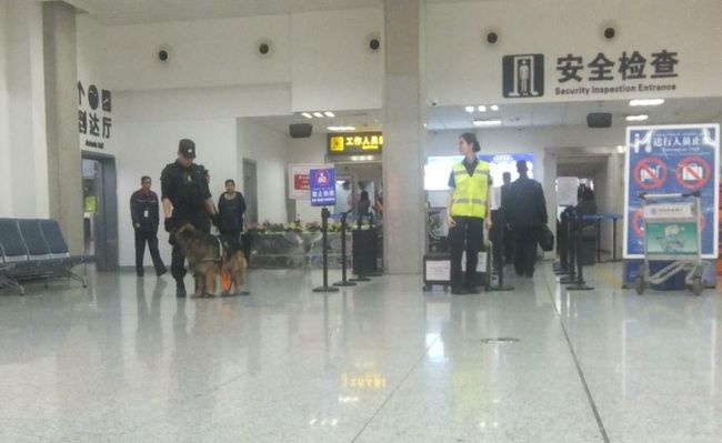 バスは 15 元 だから     前日に  空港へ   入る しか  無いので   空港へ  向かいます！       〜〜     こんな     麻薬 銃器犬 が     ウヨウヨ いる   ウルムチ国際空港 〜       やっぱり        異様な  空港 だわ！      中国 の   中でも     超 異様 空港 〜！      テロ が @@@@@@  だろうね 〜！