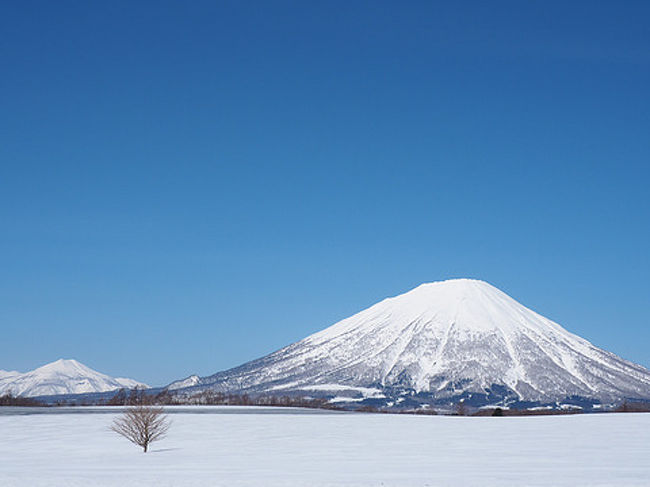 快晴の羊蹄山 羊蹄山麓ぐるり1周ドライブ 真狩 京極 北海道 の旅行記 ブログ By 白金太郎さん フォートラベル