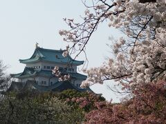 お城と桜。