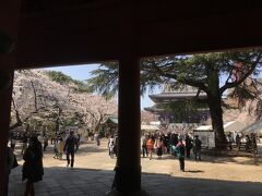 200-300m歩いて、徳川家菩提寺の増上寺へ。
期待どおり、それほど混んでいませんでした。
