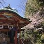 桜と東京タワーと増上寺