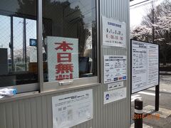 薬師池公園の駐車場。平日は無料でした。桜が満開で天気も良いので平日でも停めれるかな？と少し心配でしたが、全然余裕でした。