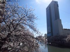 今回のお宿が見えました。その前に、桜並木がきれいです。もう全開かと思われる咲きぶりです。
荷物を預けて、MY遊バスの1日券を購入し観光に出発！！