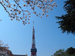 桜＆増上寺＆東京タワー