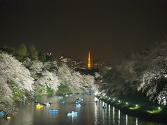 このスポットで写真をとるのに30分くらい並びました。