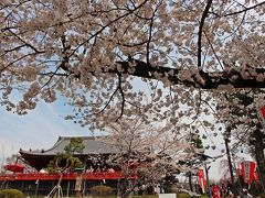 そして、翌日は上野へ。

上野公園の桜も満開で、公園内は花見客で大混雑。

