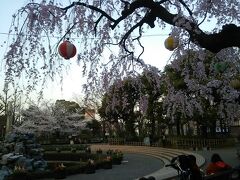 荒川区役所まえの広場です