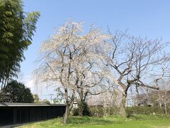 蛭ヶ小島に寄り道してから江川邸訪問。