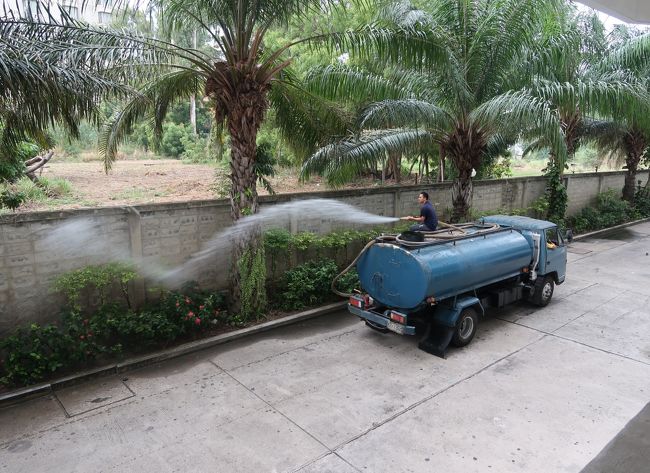 3月27日<br />コンドー敷地内では豪快に植物に水を撒いている。