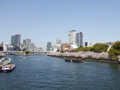 スタートは自宅近くの大阪天満橋は大川の風景。
こちらは中の島方向です。
大阪の有名な桜のスポットでここへは毎年お弁当を買って
相棒と花見をするのですが、この春は相棒が留守のため、
ちょっと遠出をすることにします。