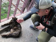 到着。
今回もおやつ持参。
お天気もよく、沢山の猫たちに出会えます。