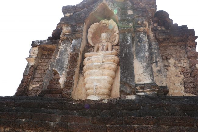 大きな蛇に乗っています