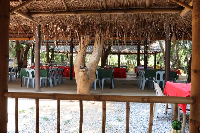 奥はバイキングコーナー