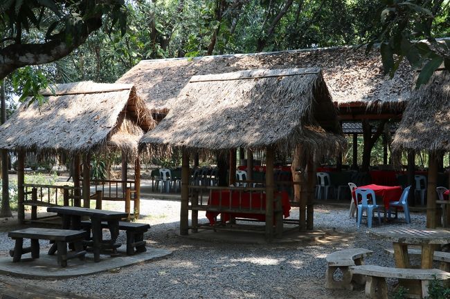 観光客向けのレストラン<br />地元の人  無し
