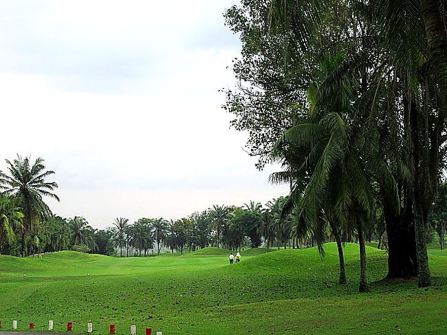 大振りすると、直ぐにお隣ホール<br />広く見えてても、けっこう狭いフェアーウエーに注意