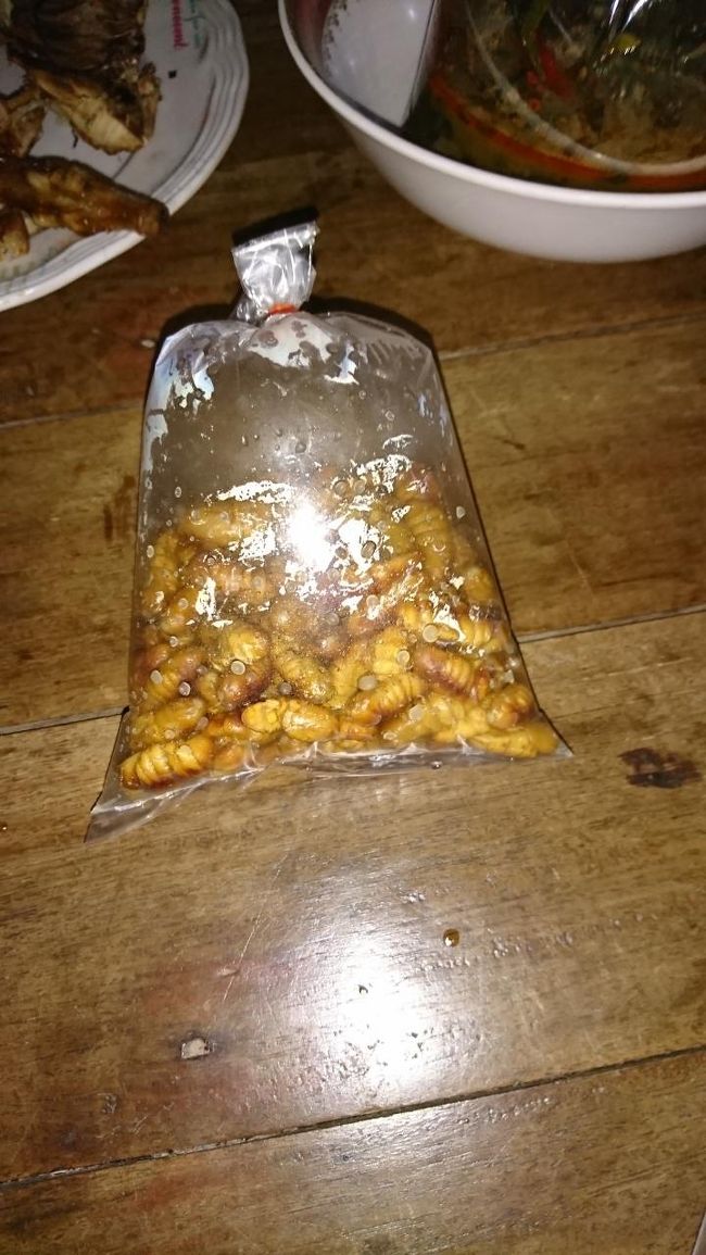 なんのサナギか分かりませんが同行者が買って来たので食べずに写真を撮っただけで済みました。