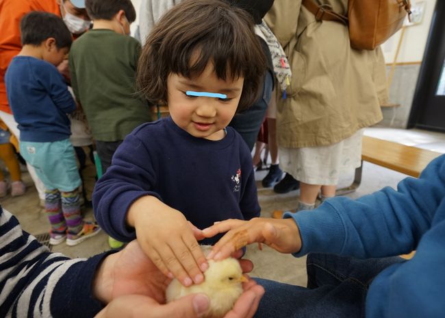日本平動物園 ちびまる子ちゃんランド 甥っ子たちと日本平へ 清水 静岡県 の旅行記 ブログ By Mo2さん フォートラベル