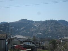 車窓から見える太平山
桜の木が点在していました｡