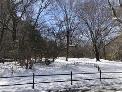 雪がなければピックニックしたいのに～