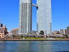 対岸には47階建ての途中で連結された親子ビル、聖路加タワー（https://www.sltowers.co.jp/towers）です。
ここには隅田川や都心の眺めが素晴らしい高層タワーホテル銀座クレストンも入ってます。

【宿泊レポ☆46】 東京都 隅田川を望める夜景眺望お薦めの高層タワーホテル銀座クレストン
http://4travel.jp/travelogue/11263195
