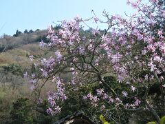 浅間山（せんげんやま）をバックに。