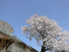 東桂駅