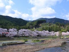 9：30　家山桜トンネル

本日のメインイベント。
桜並木を通り抜けるSLを見に来た。


駐車場　無料