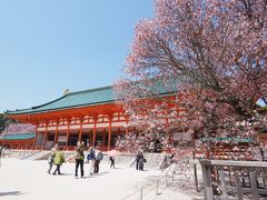 平安神宮

残念ながら、本殿前の｢左近の桜｣はすでに散り始めていました。